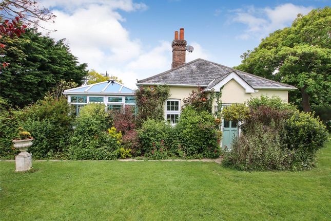Thumbnail Bungalow for sale in Cliff Road, Milford-On-Sea, Hampshire