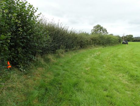 Land for sale in Rushmead Lane, South Wraxall