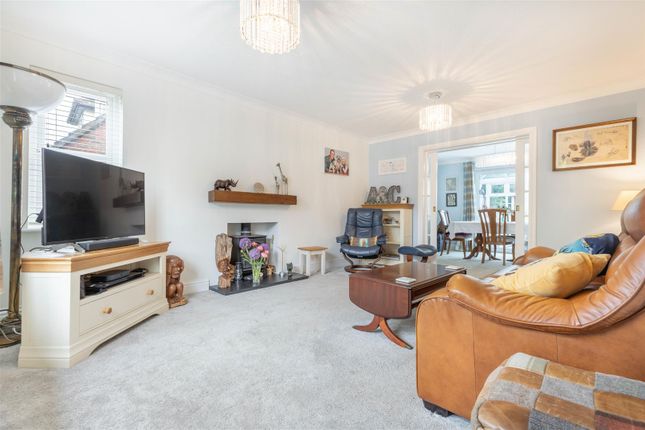 The Nutshell, Parsonage Lane, Chelmsford photo 3