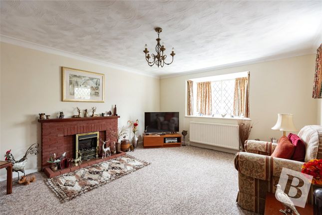 Linnetts,, Chelmer Avenue, Chelmsford photo 2