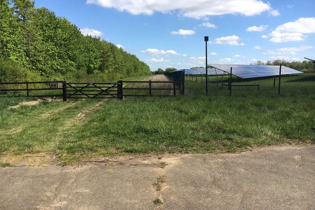 Land to rent in Broxted Estate, Stradishall, Newmarket