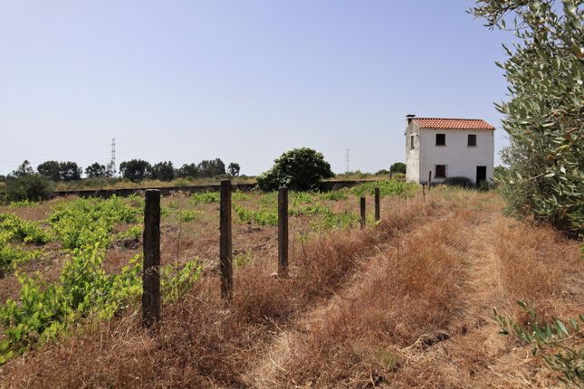 Thumbnail Farm for sale in Alcains, Castelo Branco (City), Castelo Branco, Central Portugal