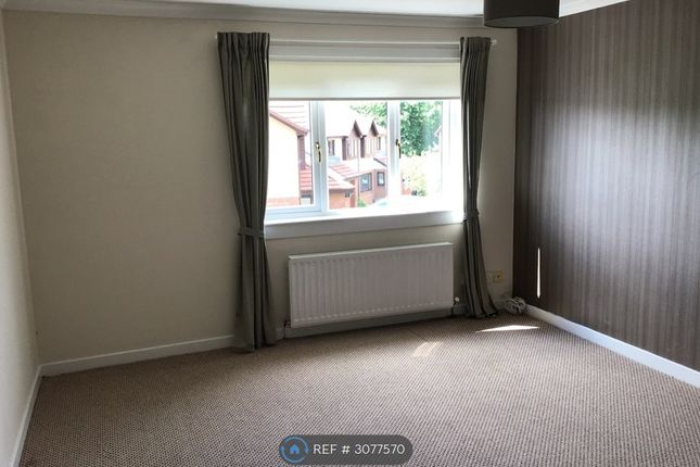 Stewartfield, East Kilbride, Glasgow photo 3