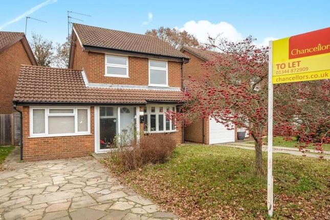 Thumbnail Detached house to rent in Ascot, Berkshire