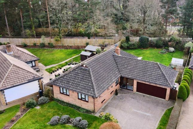 Detached bungalow for sale in Webbs Way, Ashley Heath