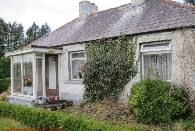 Properties For Sale In Monaghan County Ulster Ireland Monaghan