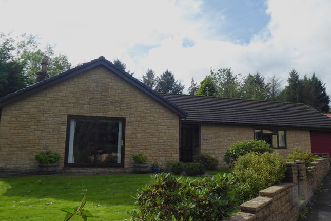 Thumbnail Detached bungalow to rent in Rustic Lodge, Bardon Mill
