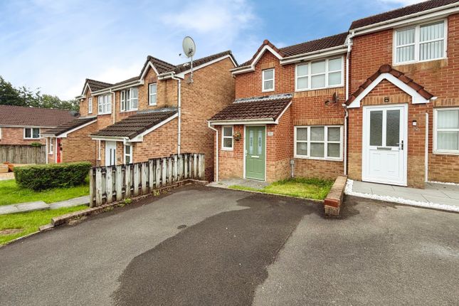 11, Swansea photo 2