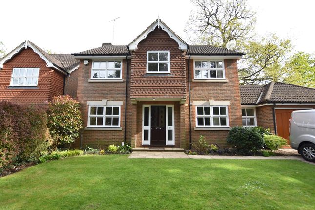 Detached house to rent in Redwood Walk, Surbiton
