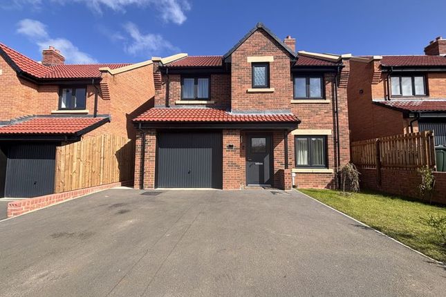 Thumbnail Detached house for sale in Larkspur Avenue, Newcastle Upon Tyne
