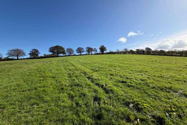 Llwyn Ffawydden, Bettws Bledrws, Lampeter photo 4