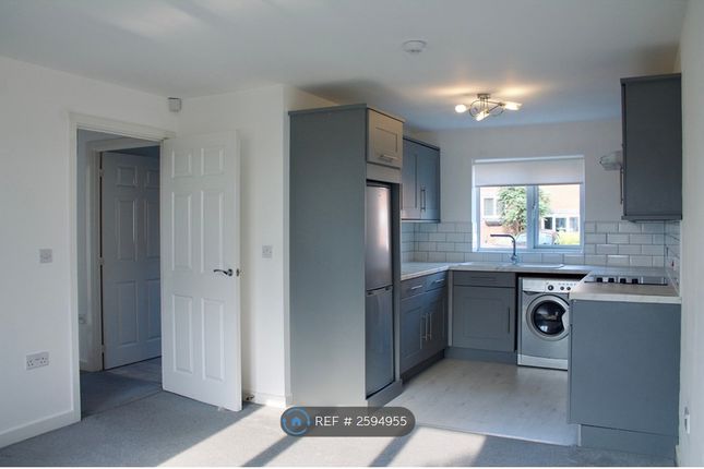 Kitchen/ Living Area