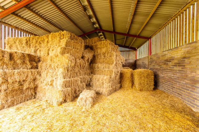 Hay Barn