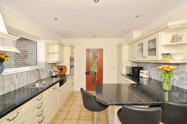 Long Branch,, Whatlington Road, East Sussex photo 4