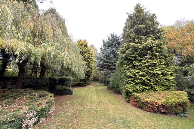 Chaddesley , Brent Hall Road, Finchingfield photo 3