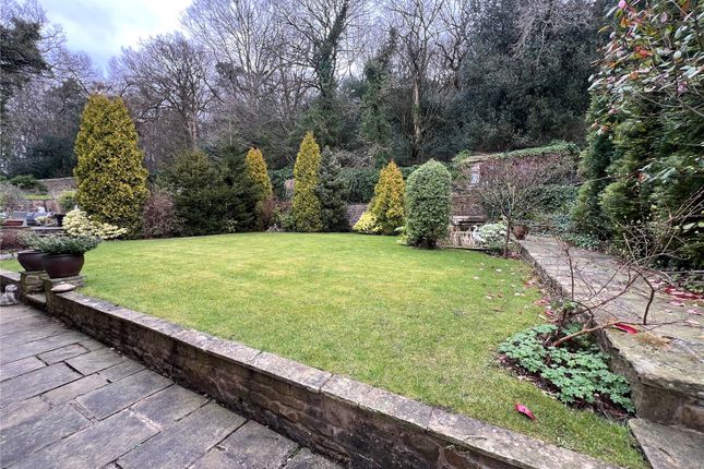 Lower Level Garden