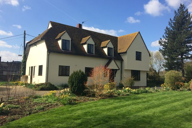 Thumbnail Farmhouse for sale in Essex, Shalford