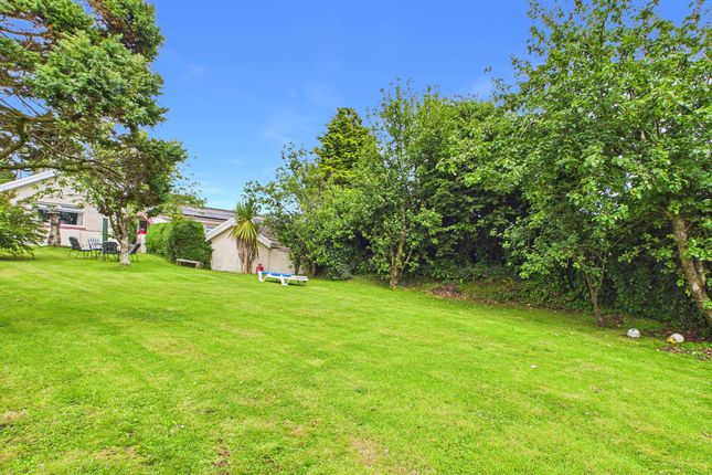 Tralee West Lane, Narberth photo 3