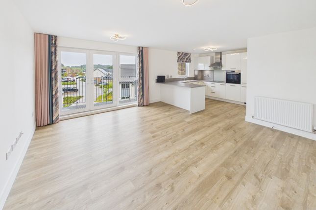Poppy Cruick, Cammo, Edinburgh, EH4 8FP, Edinburgh photo 3