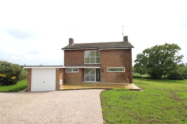 Detached house to rent in Castledon Road, Downham