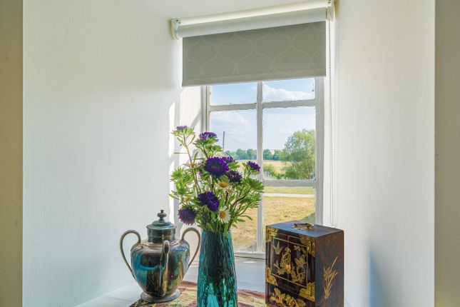 Window