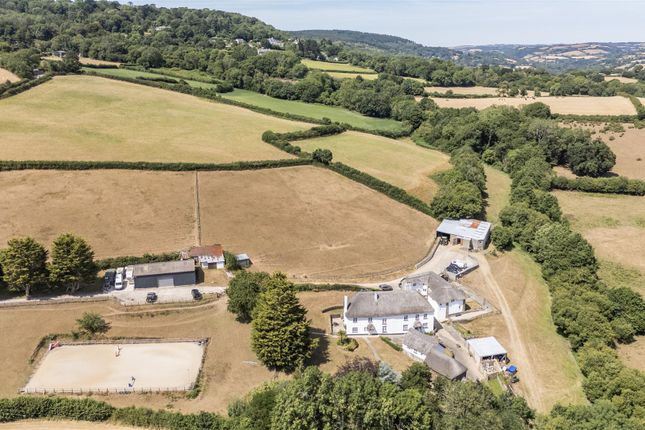 Hele Farm, Newton Abbot photo 2