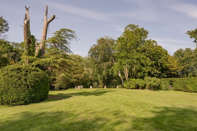 Front Lawn