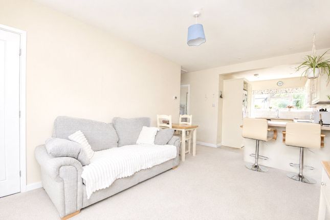 12, High Street, Colchester photo 4
