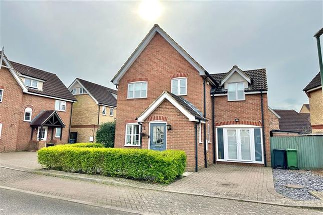 Thumbnail Detached house for sale in Sorrel Grove, Great Notley, Braintree
