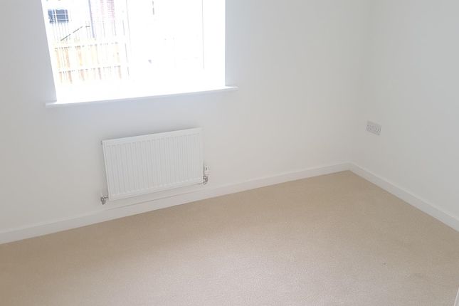 18, Bridgend photo 5