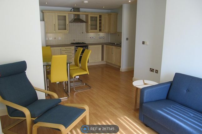 Thumbnail Flat to rent in Horizons, Newquay