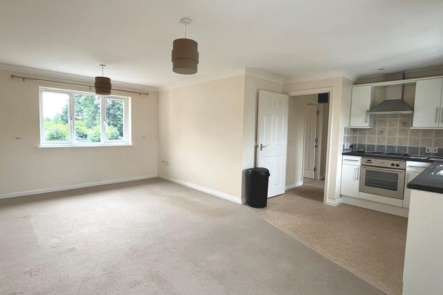 9, Lime Tree Place, Ipswich photo 3
