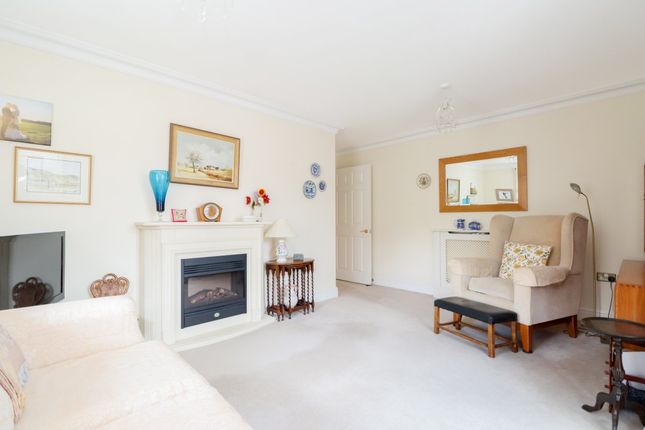 7, Potter's Place, Horsham photo 3