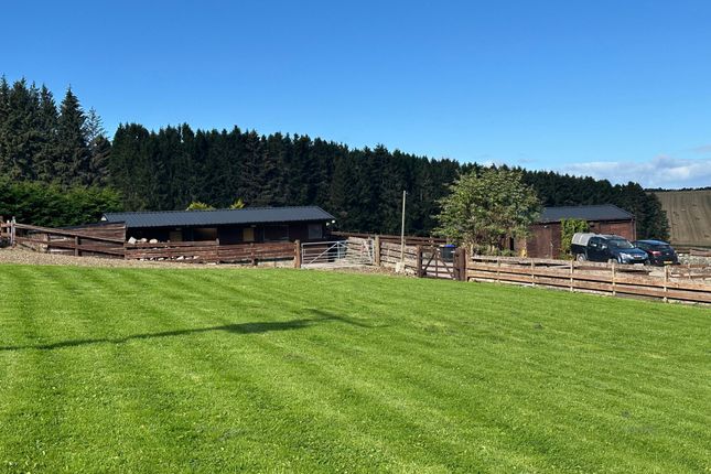 Rowanbank, Huntly photo 4