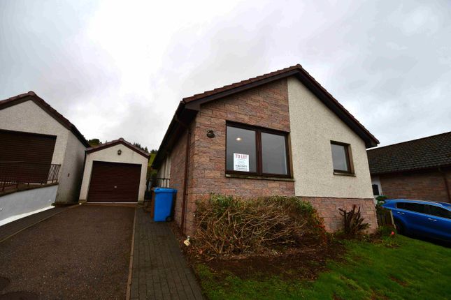 Detached bungalow to rent in Feddon Hill, Fortrose