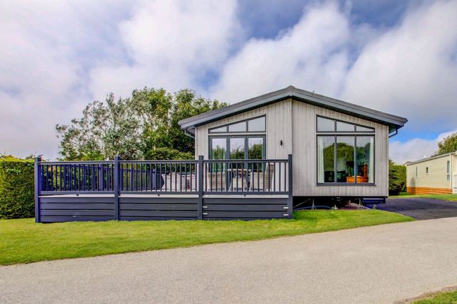 Thumbnail Lodge for sale in Cubert, Newquay
