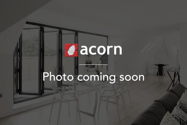Photo Coming Soon