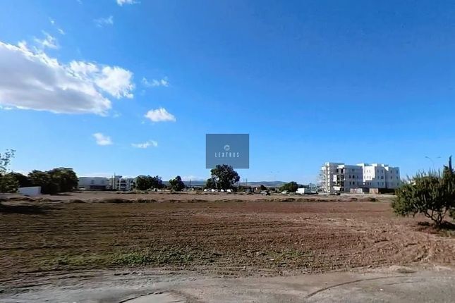 Land for sale in Larnaca, Cyprus