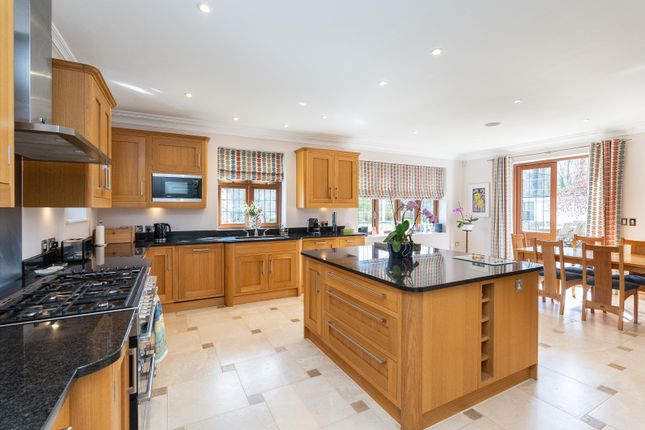 The Warren, Leatherhead photo 3