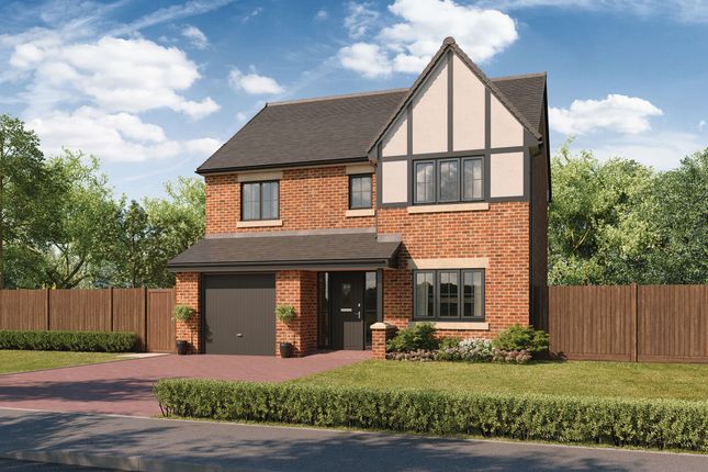 Thumbnail Detached house for sale in "The Maple" at Harestones, Wynyard, Billingham