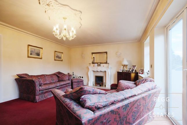 125 Newton Road, Torquay photo 4