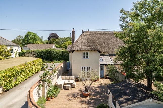 Daisy Cottage, Exeter photo 4