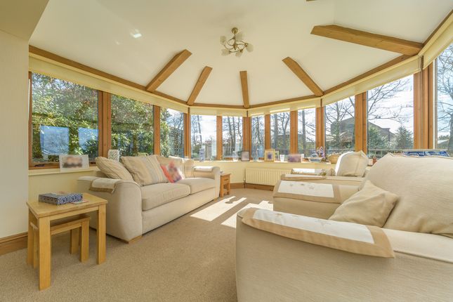 9 Shepherds Hill, Alnwick photo 4