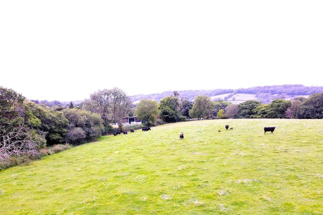Land for sale in Lower End Town Farm, Lampeter Velfrey, Narberth, Pembrokeshire
