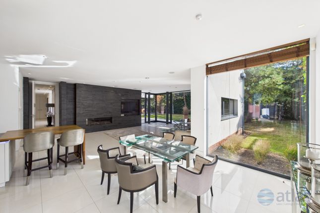 Kitchen / Dining / Living Area