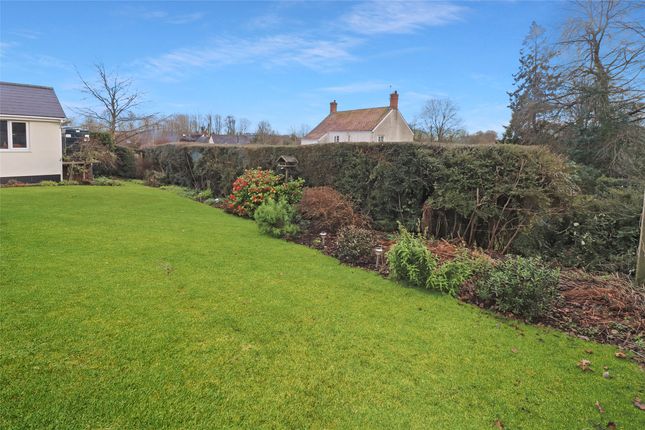 The Bungalow Palace Gardens, Wiveliscombe Taunton Somerset, Taunton photo 3