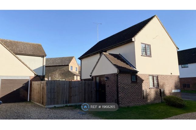 Detached house to rent in Hayward Court, Colchester
