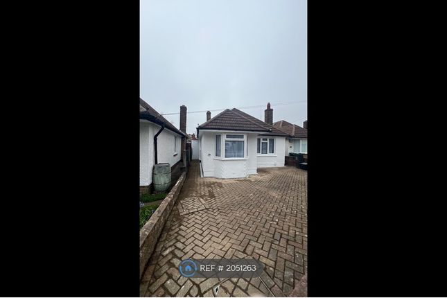 Detached house to rent in Wolseley Road, Brighton