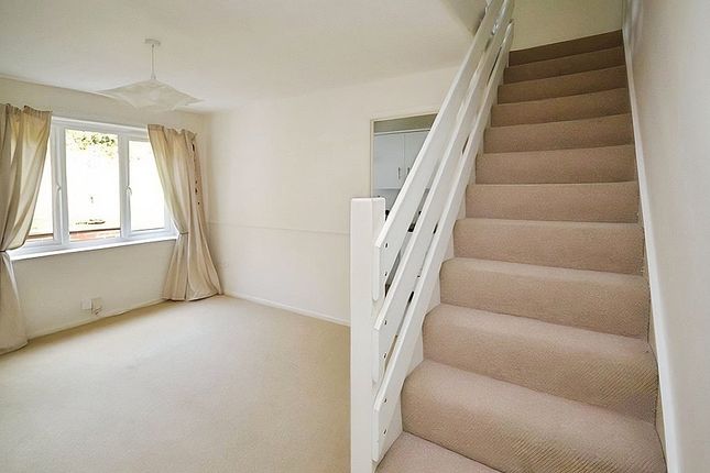 7, Newfoundland Close, Exeter photo 4