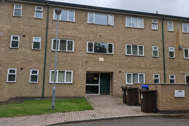 Thumbnail Flat to rent in Broomgrove Road, Broomhall, Sheffield